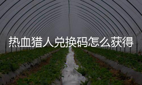 码怎么获码免猎人猎人热血热血兑换得 兑换4大取2全费领
