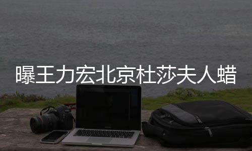 曝王力宏蜡像关北京被撤波有杜莎和离婚风 疑夫人